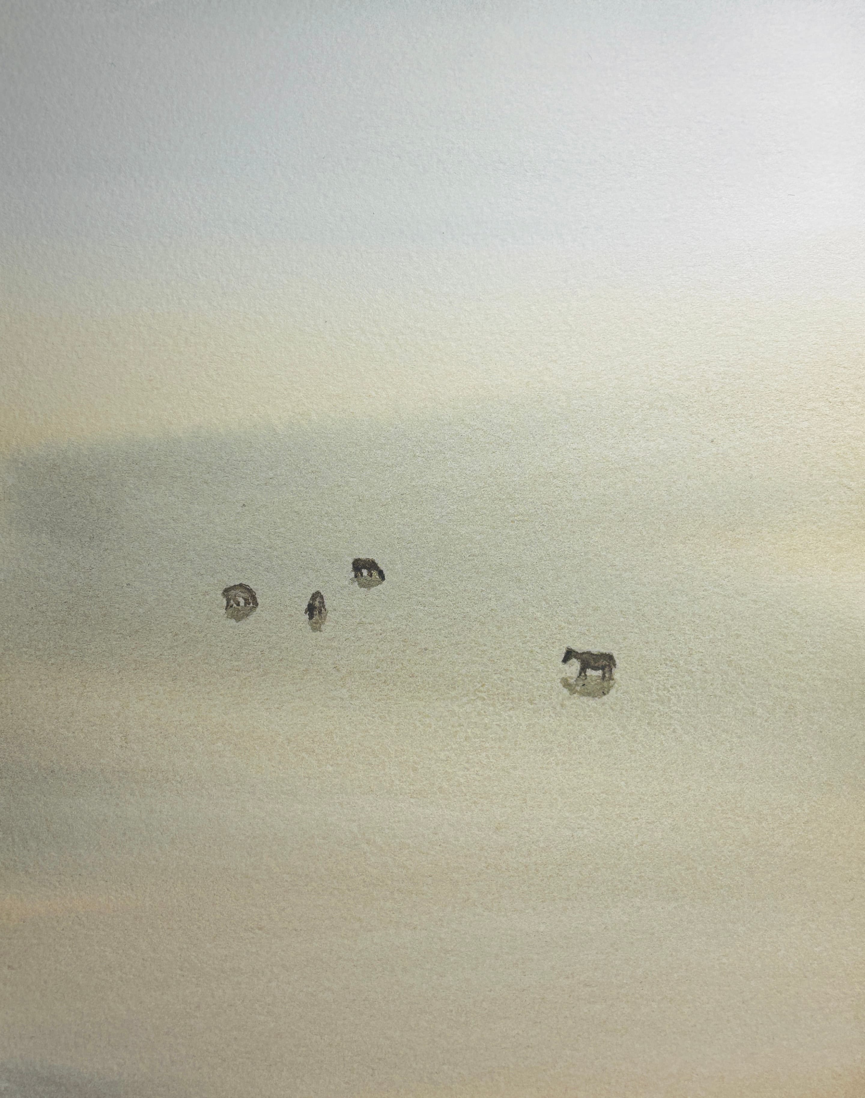 Horses in a field